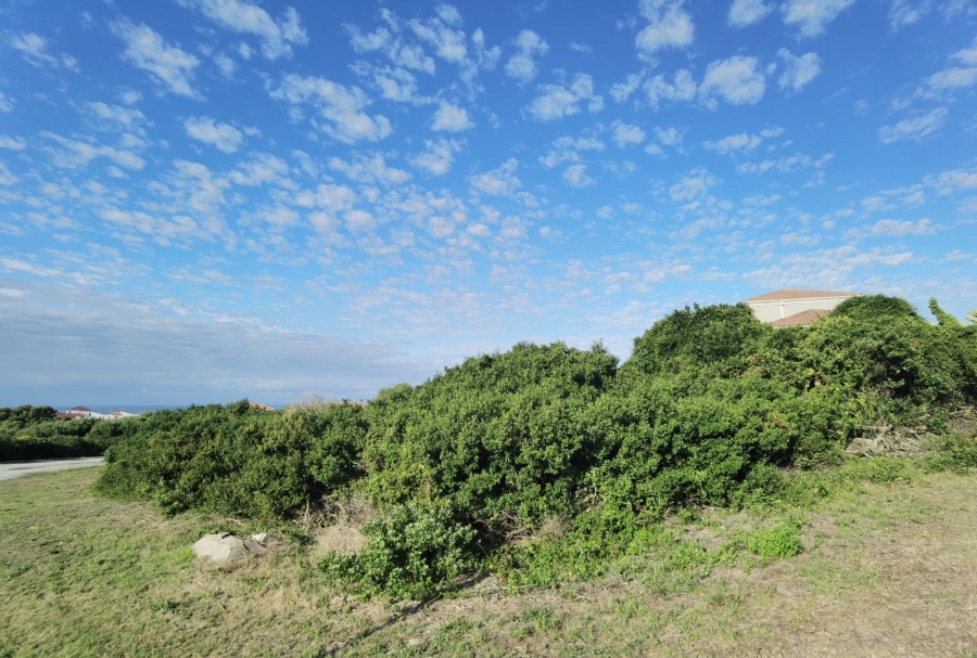 0 Bedroom Property for Sale in St Francis On Sea Eastern Cape